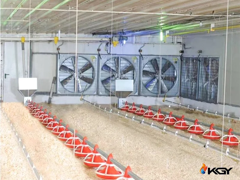 poultry ventilation